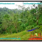 INVESTASI PROPERTY, TANAH di UBUD DIJUAL MURAH TJUB603