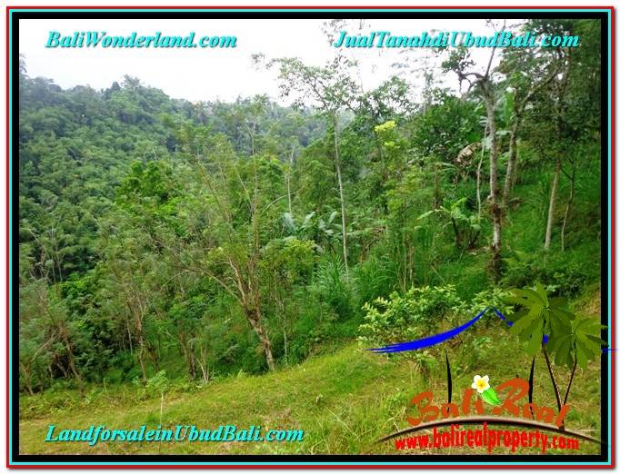 INVESTASI PROPERTY, TANAH di UBUD DIJUAL MURAH TJUB603