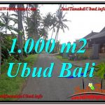 JUAL MURAH TANAH di UBUD 1,000 m2 di Ubud Pejeng