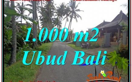 JUAL MURAH TANAH di UBUD 1,000 m2 di Ubud Pejeng