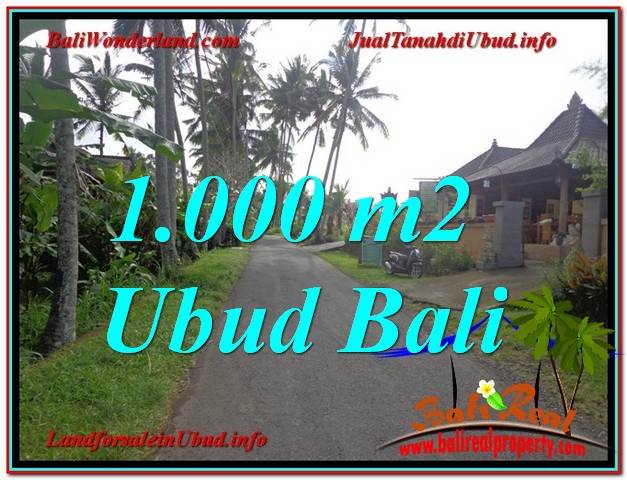 JUAL MURAH TANAH di UBUD 1,000 m2 di Ubud Pejeng