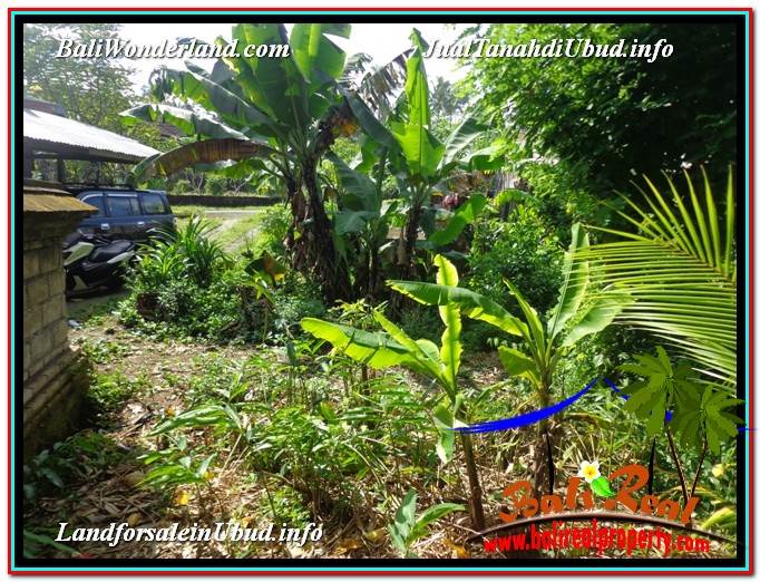 JUAL MURAH TANAH di UBUD BALI 2,500 m2 View Tebing dan Sungai lingkungan Villa