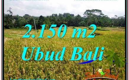 TANAH MURAH di UBUD 2,150 m2 View Sawah dan Gunung lingkungan Villa