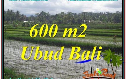 JUAL TANAH di UBUD BALI 6 Are di Ubud Tegalalang