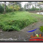 TANAH MURAH JUAL UBUD 56 Are View Tebing dan kebun