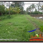 TANAH MURAH JUAL UBUD 56 Are View Tebing dan kebun