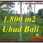 DIJUAL TANAH di UBUD BALI 18 Are di Ubud Tegalalang