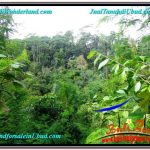 JUAL TANAH MURAH di UBUD TJUB611