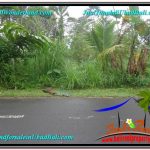 TANAH di UBUD DIJUAL 1,400 m2 di Ubud Tegalalang