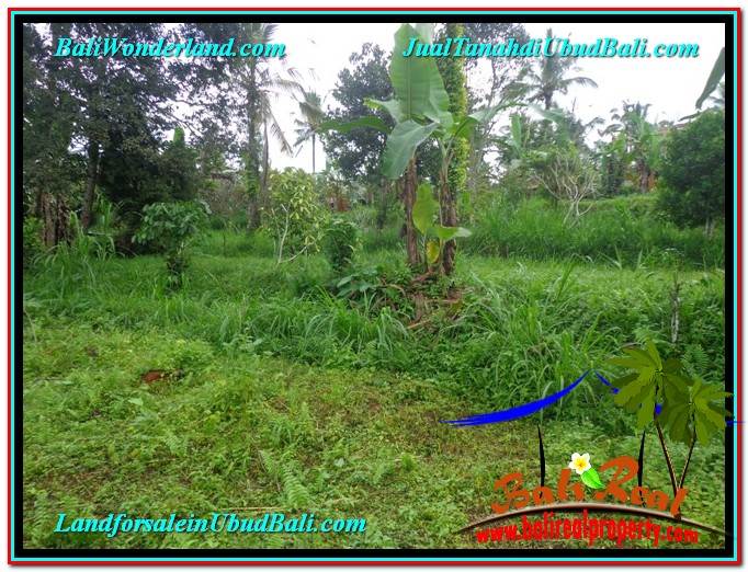 TANAH di UBUD DIJUAL 1,400 m2 di Ubud Tegalalang