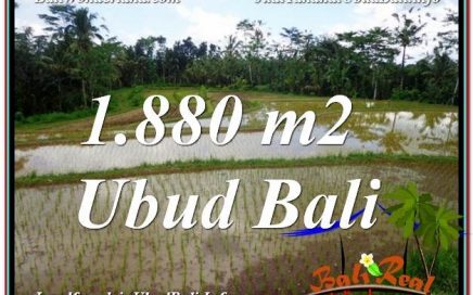 TANAH MURAH DIJUAL di UBUD BALI 1,880 m2 di Ubud Tegalalang