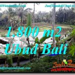 JUAL TANAH di UBUD 18 Are View Sawah