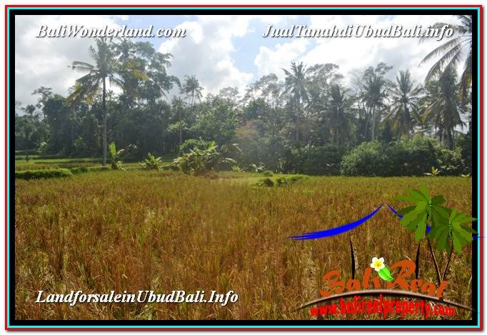 JUAL TANAH MURAH di UBUD BALI 1,000 m2 View Sawah lingkungan Villa