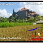 JUAL TANAH MURAH di UBUD BALI 1,000 m2 View Sawah lingkungan Villa