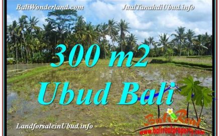 JUAL TANAH di UBUD BALI 300 m2 View Sawah lingkungan Villa