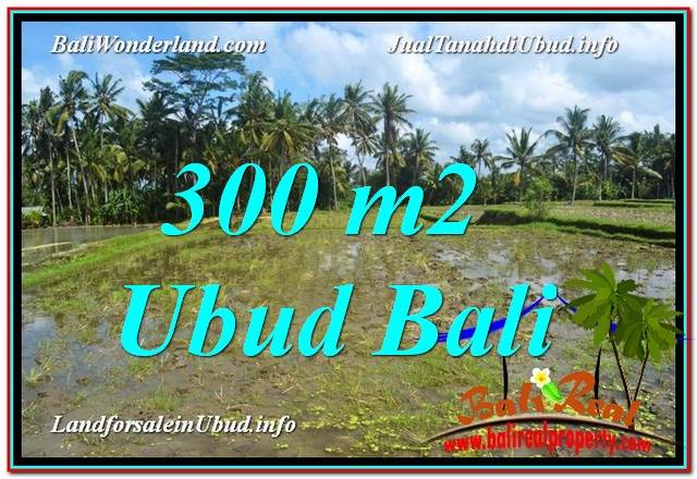 JUAL TANAH di UBUD BALI 300 m2 View Sawah lingkungan Villa