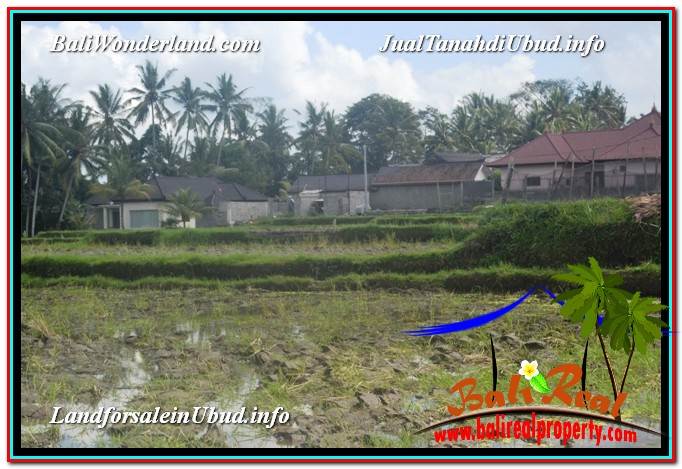 JUAL TANAH di UBUD BALI 300 m2 View Sawah lingkungan Villa