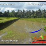 JUAL TANAH di UBUD BALI 300 m2 View Sawah lingkungan Villa