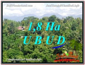 TANAH MURAH  di UBUD BALI DIJUAL 18,000 m2  View pangkung link Villa