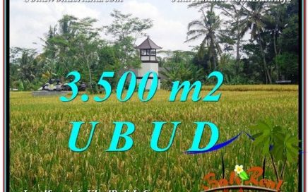 JUAL TANAH MURAH di UBUD BALI 3,500 m2 di Ubud Tegalalang