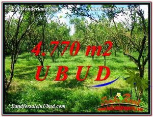 TANAH DIJUAL MURAH di UBUD Untuk INVESTASI TJUB598