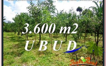 INVESTASI PROPERTY, TANAH MURAH di UBUD BALI DIJUAL TJUB599