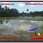 TANAH DIJUAL MURAH di UBUD 24 Are di Ubud Pejeng