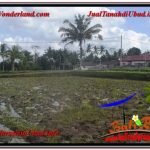 TANAH DIJUAL MURAH di UBUD 24 Are di Ubud Pejeng