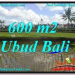 TANAH MURAH DIJUAL di UBUD 6 Are di Ubud Pejeng