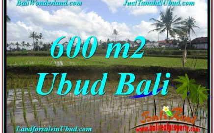 TANAH MURAH DIJUAL di UBUD 6 Are di Ubud Pejeng