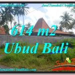 JUAL TANAH MURAH di UBUD BALI Untuk INVESTASI TJUB622