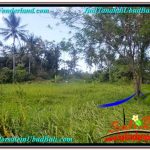 JUAL TANAH MURAH di UBUD BALI Untuk INVESTASI TJUB622