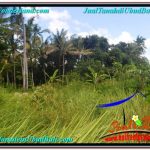 JUAL TANAH MURAH di UBUD BALI Untuk INVESTASI TJUB622