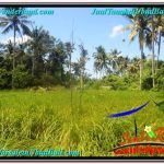 JUAL TANAH MURAH di UBUD BALI Untuk INVESTASI TJUB622