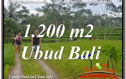 TANAH di UBUD DIJUAL TJUB624