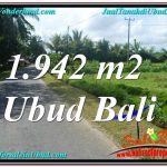 TANAH MURAH di UBUD BALI 1,942 m2 di Ubud Pejeng