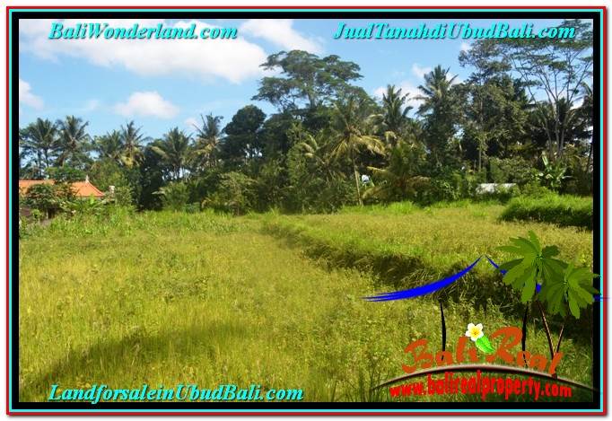 TANAH di UBUD DIJUAL MURAH 400 m2 di Ubud Pejeng