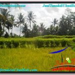 TANAH di UBUD DIJUAL MURAH 400 m2 di Ubud Pejeng