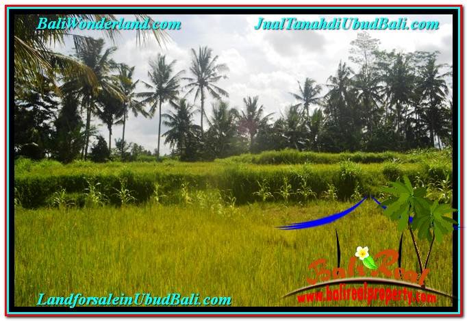 TANAH di UBUD DIJUAL MURAH 400 m2 di Ubud Pejeng