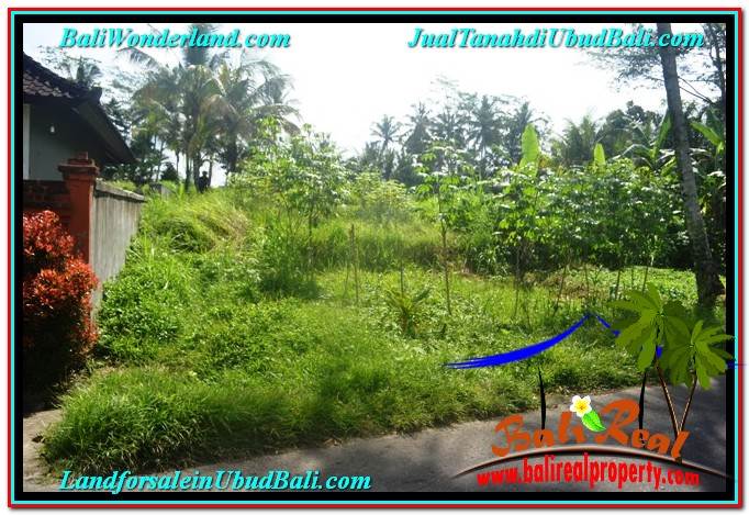 TANAH di UBUD DIJUAL MURAH 400 m2 di Ubud Pejeng