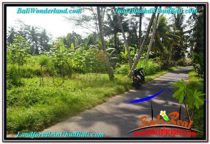 TANAH di UBUD DIJUAL MURAH 400 m2 di Ubud Pejeng