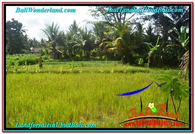 TANAH di UBUD DIJUAL MURAH 400 m2 di Ubud Pejeng