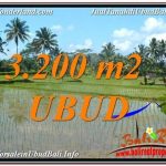 DIJUAL TANAH di UBUD 32 Are di Ubud Payangan