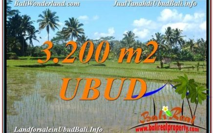 DIJUAL TANAH di UBUD 32 Are di Ubud Payangan