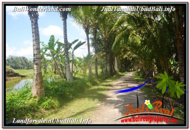 DIJUAL TANAH di UBUD 32 Are di Ubud Payangan