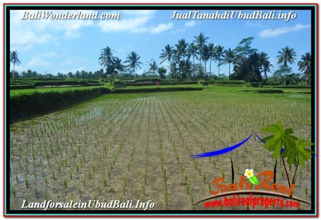 DIJUAL TANAH di UBUD 32 Are di Ubud Payangan