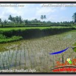 DIJUAL TANAH di UBUD 32 Are di Ubud Payangan