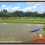 DIJUAL TANAH di UBUD 32 Are di Ubud Payangan