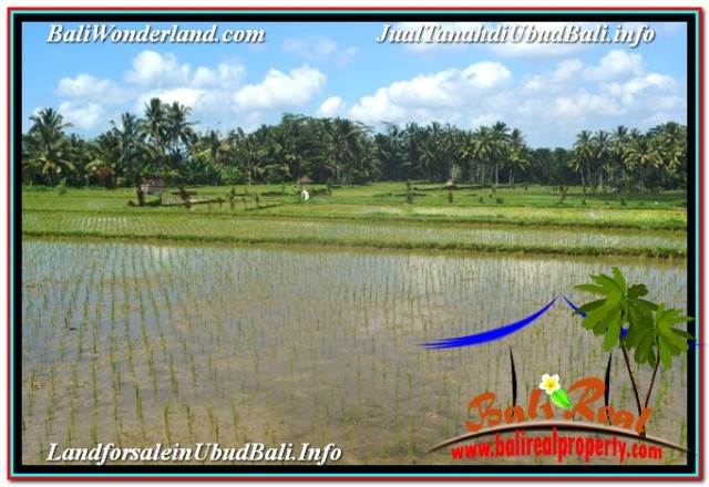 DIJUAL TANAH di UBUD 32 Are di Ubud Payangan