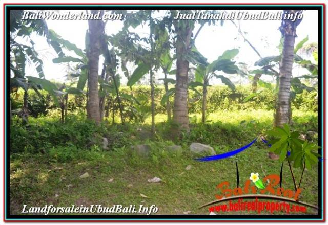 DIJUAL TANAH di UBUD 32 Are di Ubud Payangan